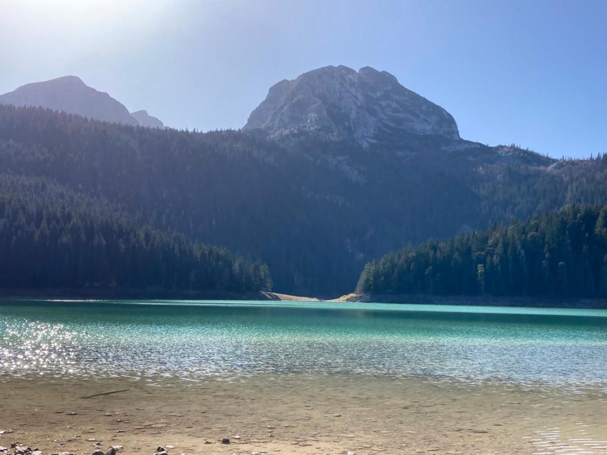 Mountain Soul Rest Villa Zabljak  Ngoại thất bức ảnh