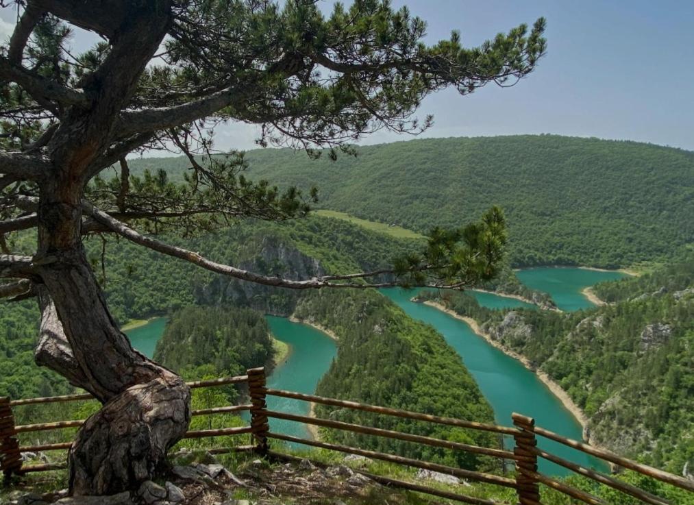 Mountain Soul Rest Villa Zabljak  Ngoại thất bức ảnh